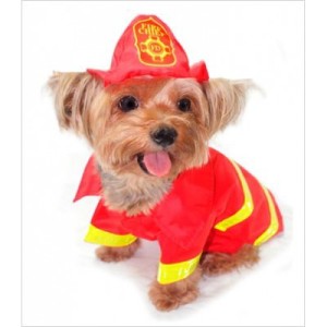 cane pompiere