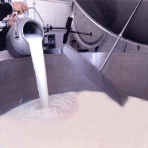 latte produzione