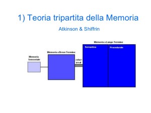 Teoria tripartita della memoria