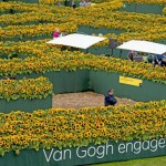Van-gogh-museum girasoli