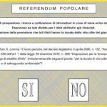 referendum_trivelle_scheda