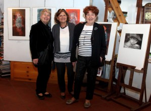 mostra arte pescarenico Da sinistra, Nicola Sene, Adriana Borrello e Luisa Asteriti