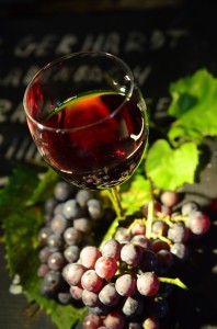 vino e uva