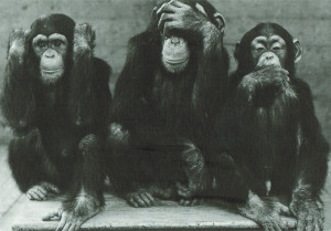 tre scimmiette