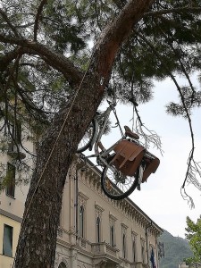 bicicletta sull'albero scherzo piazza garibaldi (2)